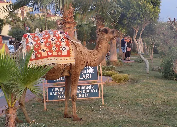 Semt Luna فندق 2*